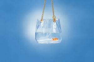 Roberti Scichilone Progetto 2015 Aribea Bags Commercial Still Life Lutherdsgn ADV Immagine 3